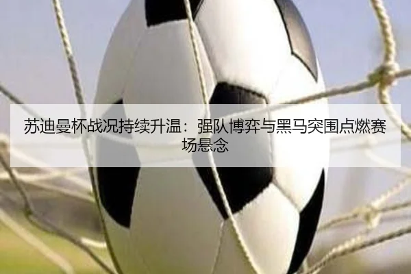 苏迪曼杯战况持续升温：强队博弈与黑马突围点燃赛场悬念
